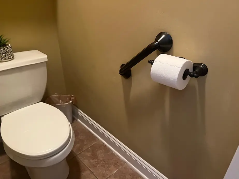 Dark bronze grab bar and toilet paper holder mounted beside a toilet